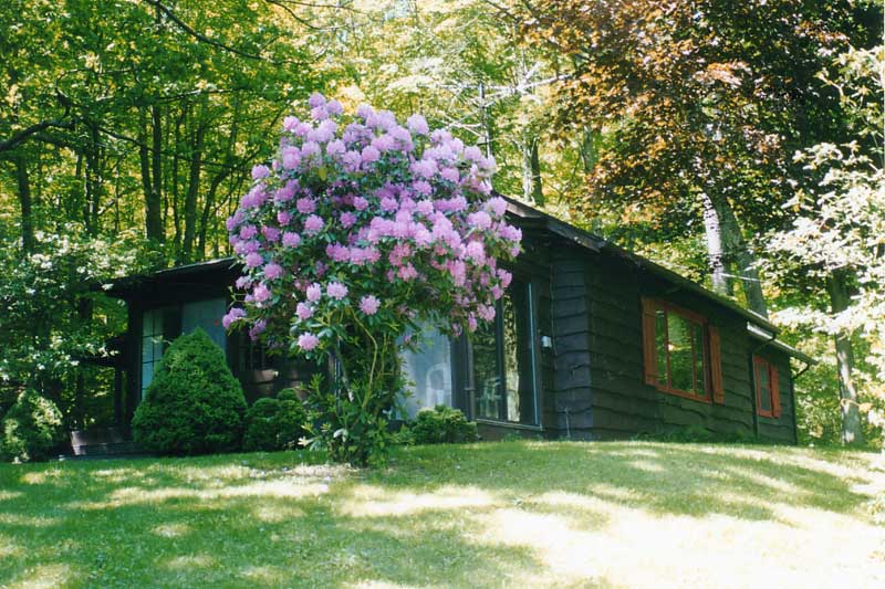 Phoenicia Secluded Mountain Retreat