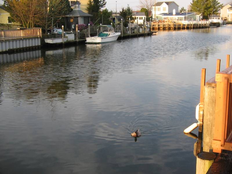 Beach Haven West Cottage on  Lagoon