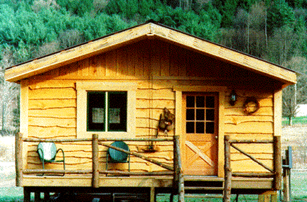 East Branch Pepacton Cabins