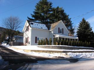 Lake George Village House