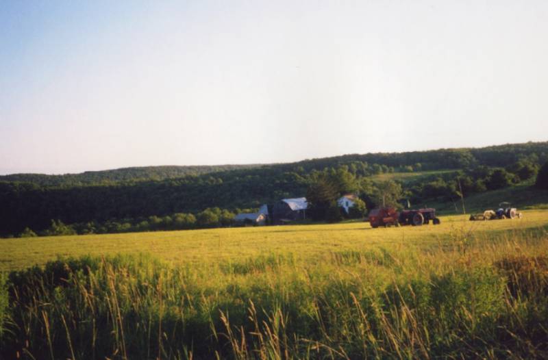 Dryden Hill Farm - Beauty and Privacy