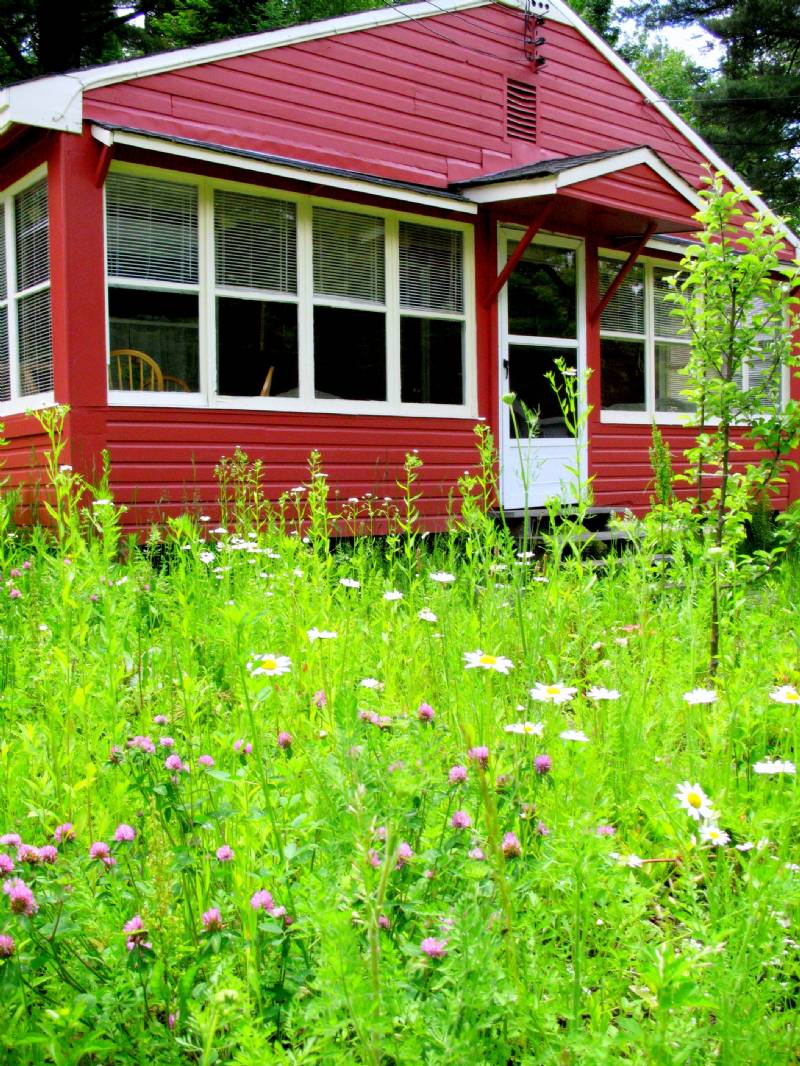 Caroga Lake Relaxed, Charming 1940`s Adirondack Summer Camp With Beach Rights