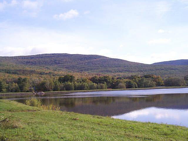 Hunter Mountain Lake Front Unit