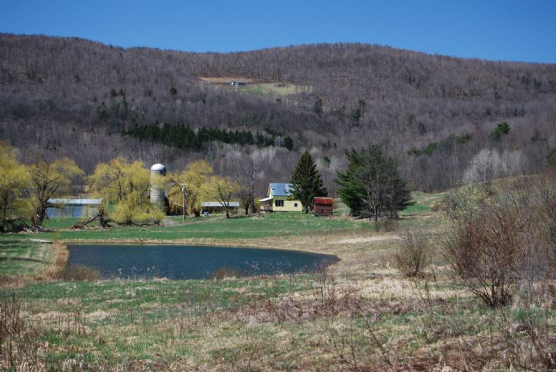 Cooperstown Handmade House on 70 Acres