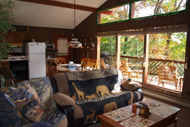 Mountain View Cabin Near Jim Thorpe